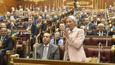 استقالة وزيرة البيئة