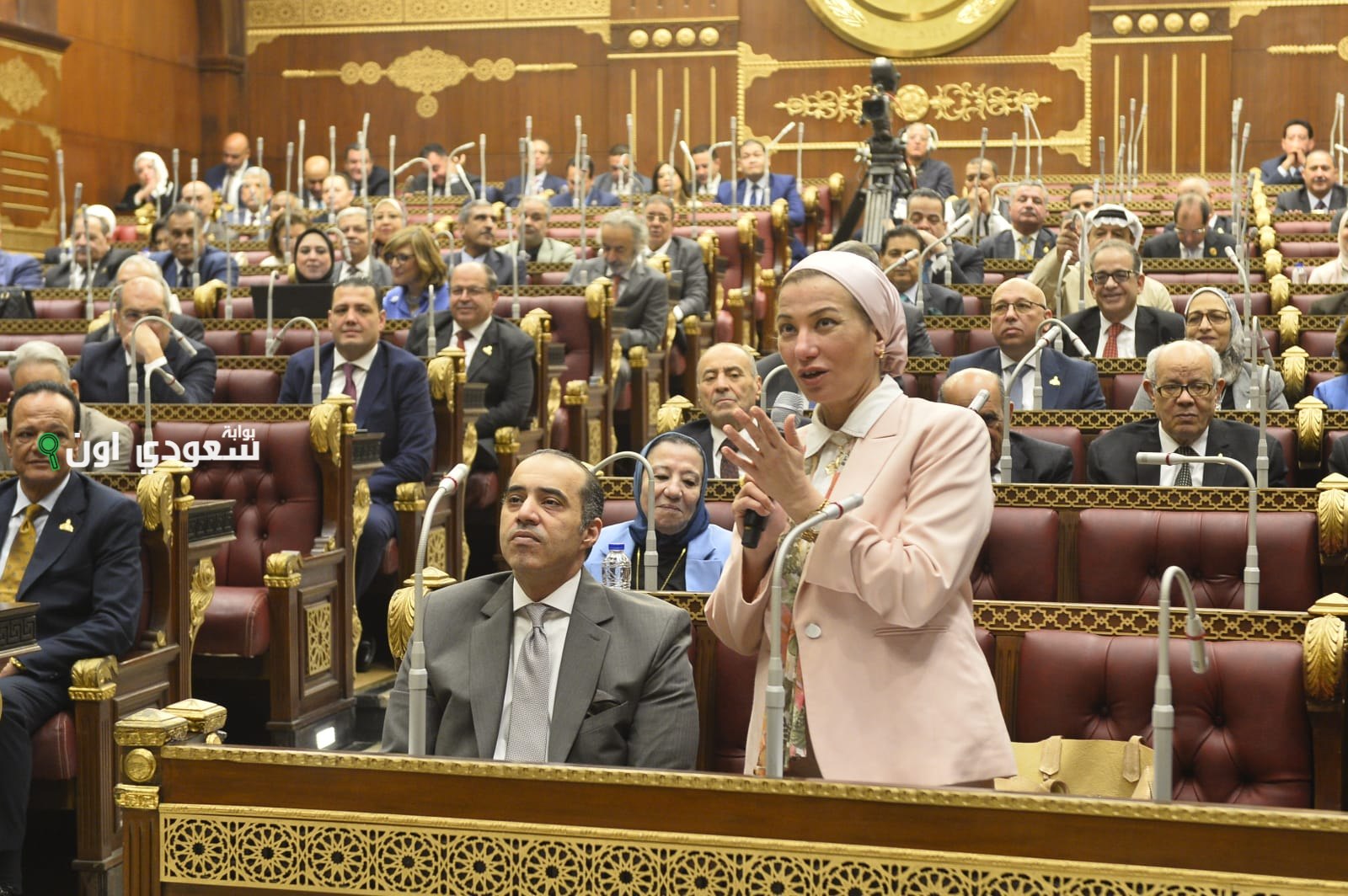 استقالة وزيرة البيئة