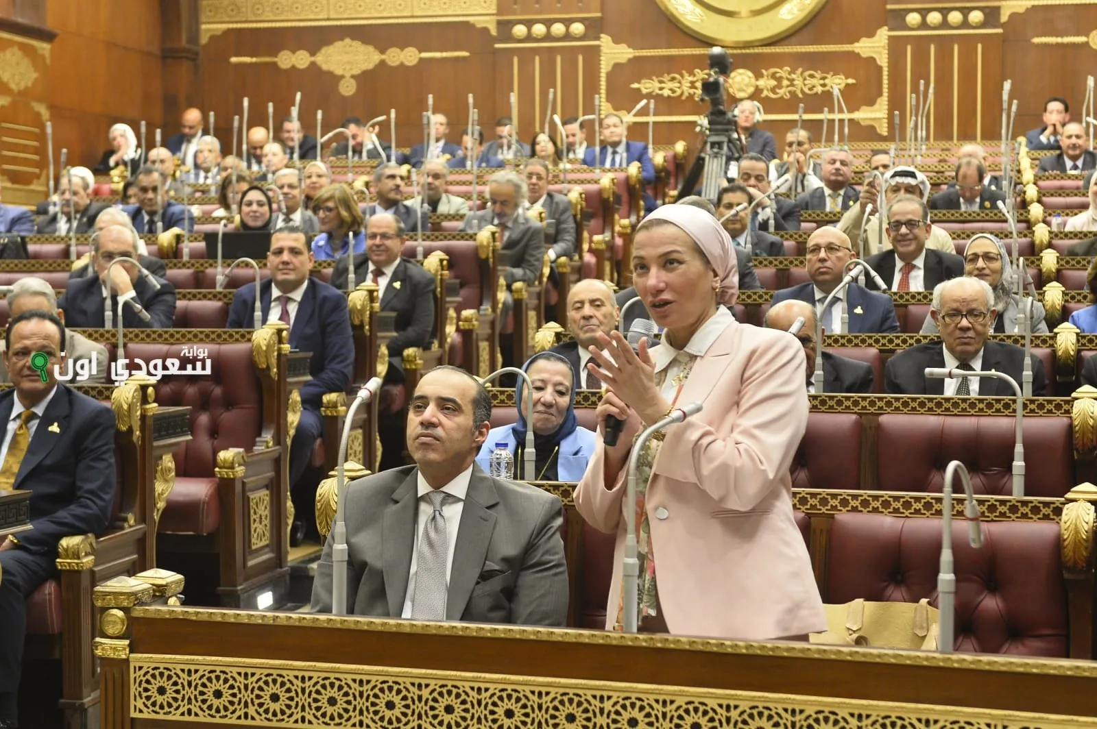 استقالة وزيرة البيئة