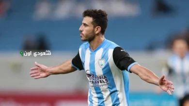 حمدي فتحي