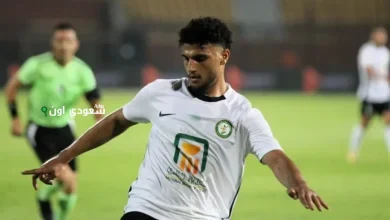 اسامة فيصل