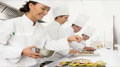 فنون الطهي