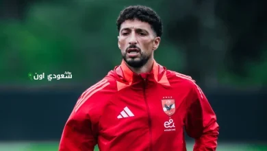 وسام أبو علي