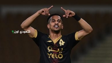 اللاعب عبد العزيز نور