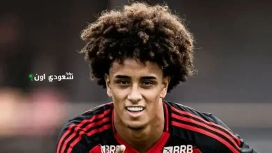 من هو البرازيلي رايان روبرتو