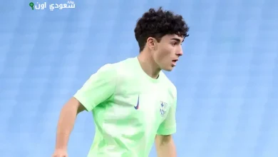 اللاعب الشاب يان فيرجيلي