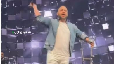 حسام حبيب