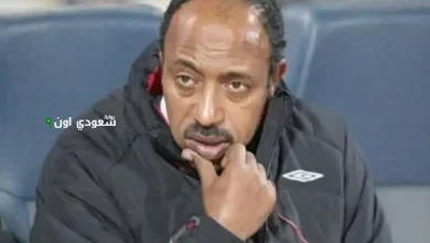 عماد سليمان