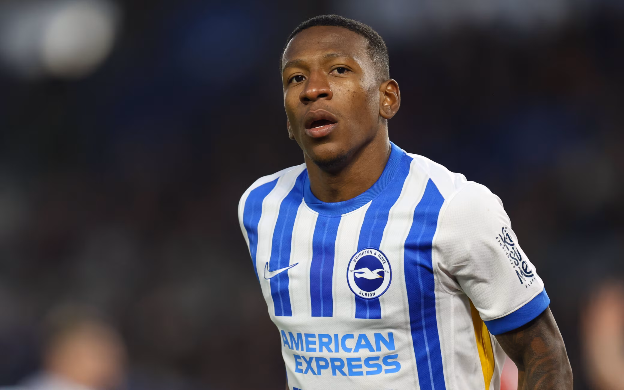 بيرفيس إستوبينان