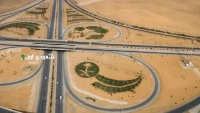 السعودية تحتل المرتبة الأولى عالميًا في ترابط الطرق