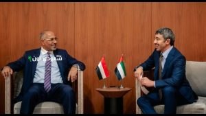 نائب رئيس مجلس القيادة الرئاسي اليمني