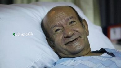 الفنان لطفي لبيب