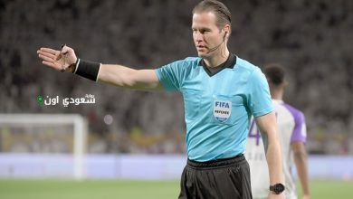 الحكم الهولندي داني ماكيلي