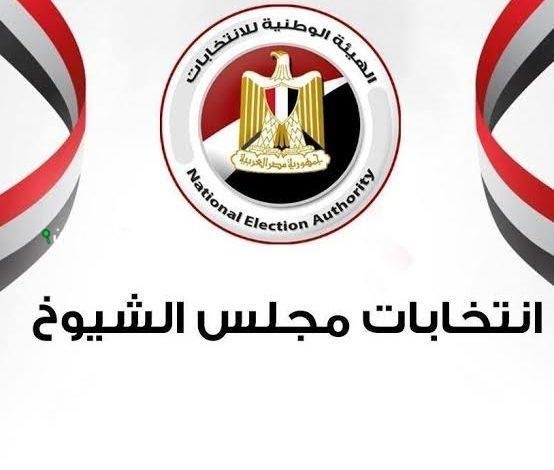 تفاصيل انتخابات مجلس الشيوخ المصري من مرحلة الترشح حتى إعلان النتائج النهائية