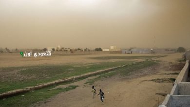 اجتماع أممي رفيع يثني على جهود السعودية ضد العواصف الرملية