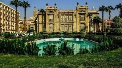 جامعة عين شمس الأهلية
