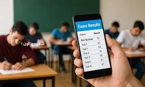 فرص النجاح في نتائج السادس الإعدادي 2025 دور أول بالعراق لجميع المحافظات عبر موقع epedu.gov.iq