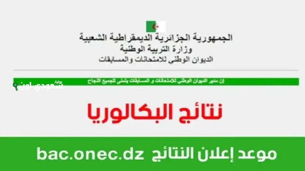 خطوات دقيقة ومفصلة لاستخراج نتائج بكالوريا 2025 في الجزائر عبر الديوان الوطني للامتحانات