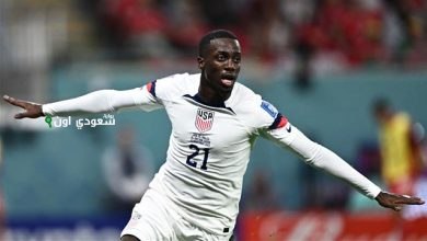 تيموتي ويا