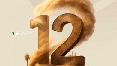المملكة تحتفل باليوم العالمي لمكافحة العواصف لمواجهة الظواهر الغبارية المتزايدة