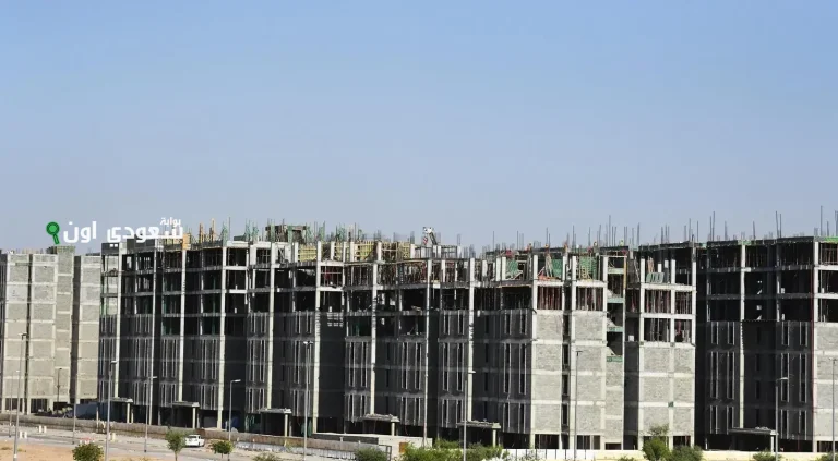 ضبط مخالفات عقارية