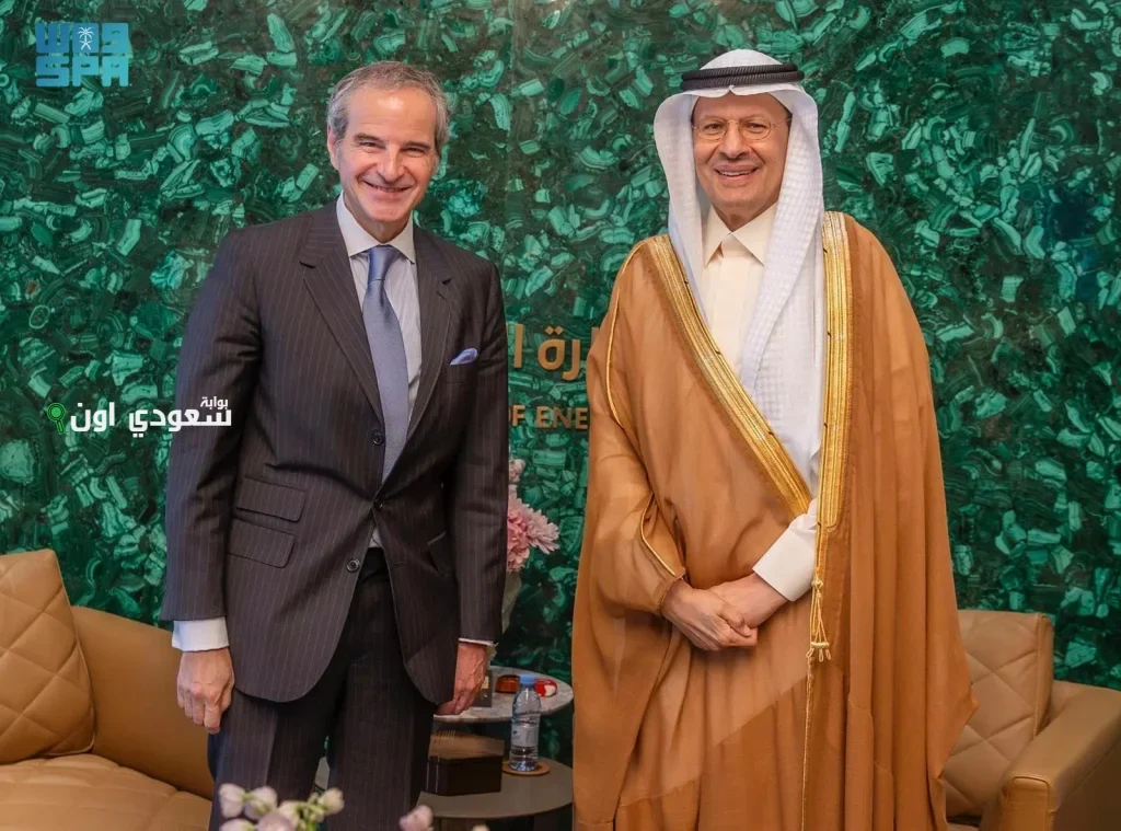 وزير الخارجية يستقبل مدير الوكالة الدولية للطاقة الذرية لبحث التعاون المشترك
