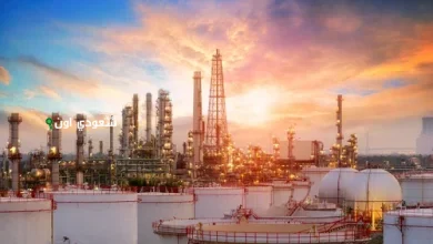 الإحصاء» يعلن ارتفاع الرقم القياسي للإنتاج الصناعي بنسبة 1.5% خلال شهر مايو