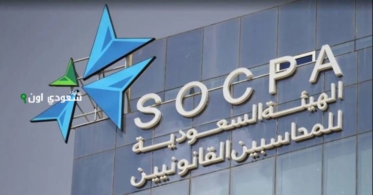 هيئة المحاسبين