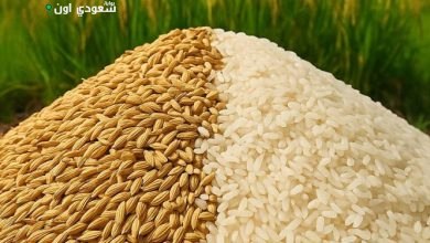 أصناف الأرز سعر الأرز الشعير رفيع وعريض اليوم 31 يوليو 2025 بالأسواق المصرية
