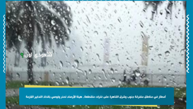 أمطار في مناطق متفرقة جنوب وشرق القاهرة على فترات متقطعة.. هيئة الأرصاد تحذر وتوصي باتخاذ التدابير اللازمة