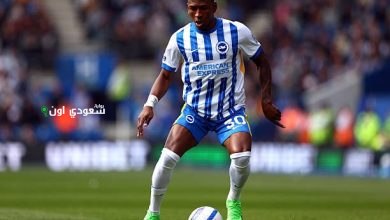 بيرفس إستوبينيان