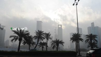 الأرصاد الجوية تحذر من أمطار ورياح نشطة