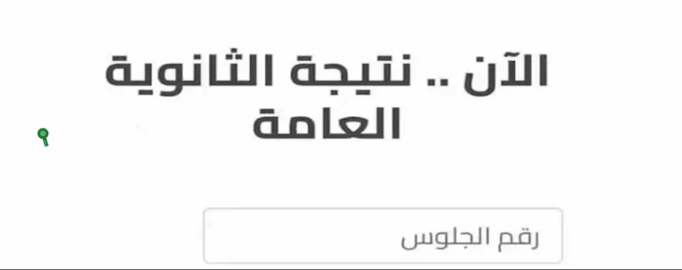 التسجيل في خدمة الاستعلام عن نتيجة الثانوية العامة