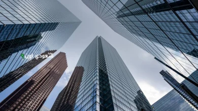 261 شركة تقنية مالية و79% من المدفوعات إلكترونية في 2024