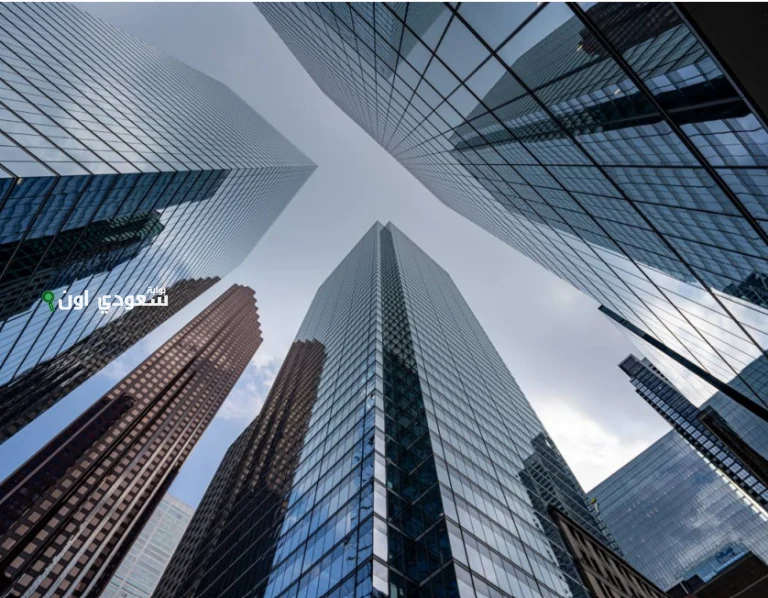 261 شركة تقنية مالية و79% من المدفوعات إلكترونية في 2024