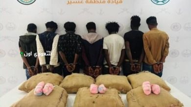 إلقاء القبض على 7 مهربين وبحوزتهم 140 كيلوجرام من القات