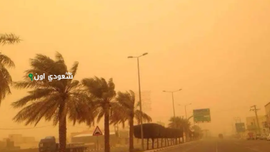 تتأثر المملكة العربية السعودية بظاهرة الغبار