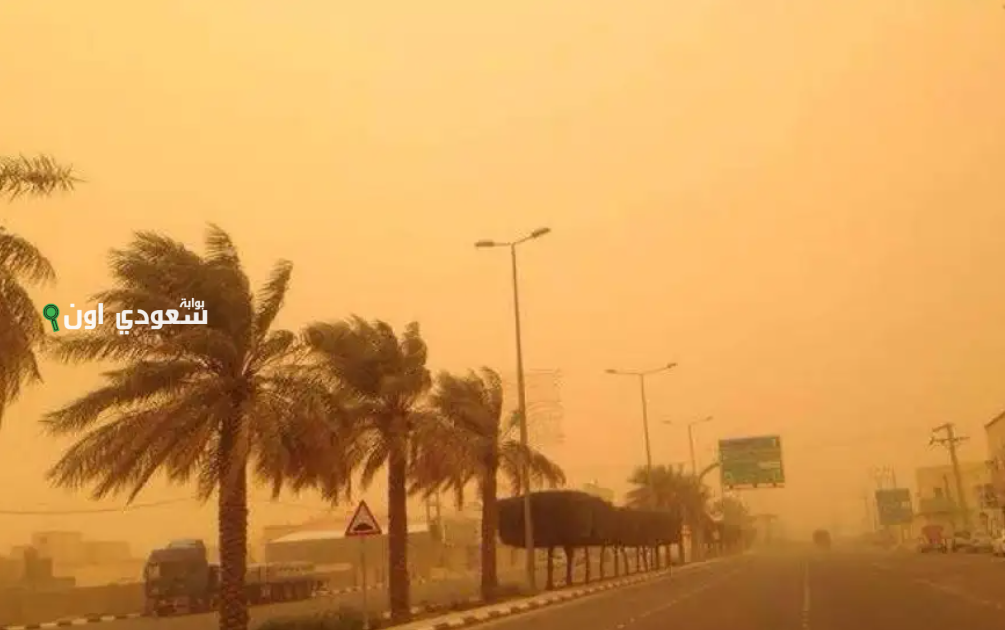 ستة مناطق ومصادر رئيسية لتكوّن الغبار في المملكة العربية السعودية