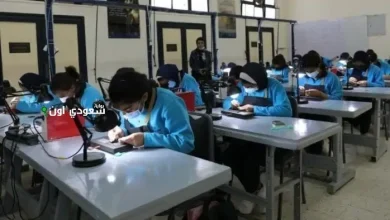 بدائل الثانوية العامة في 2025