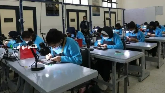 بدائل الثانوية العامة في 2025 فرص مضمونة لدعم مستقبلك التعليمي ومهنك في مصر