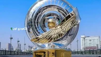 الدوري المصري