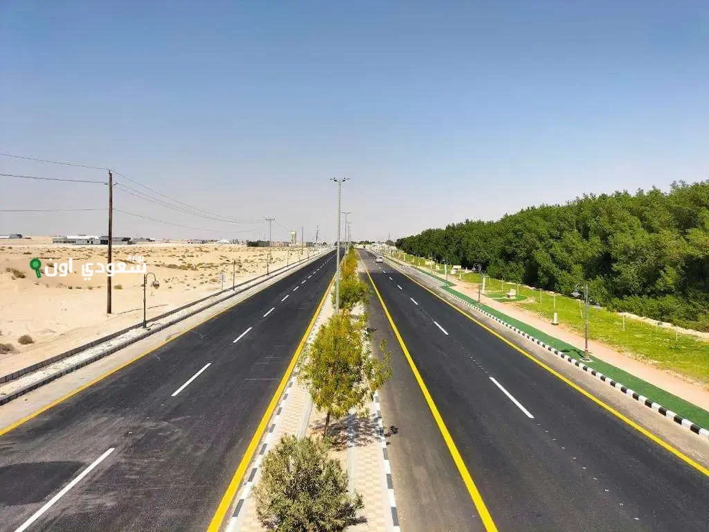 بلدية مليجة تستمر في تطوير البنية التحتية من خلال إنشاء وتأهيل 82000 م2 من الطرق