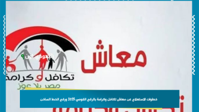 خطوات الاستعلام عن معاش تكافل وكرامة بالرقم القومي 2025 ورقم الخط الساخن