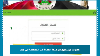 خطوات الاستعلام عن منحة العمالة غير المنتظمة في مصر