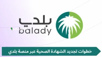 تجديد الشهادة الصحية عبر منصة بلدي 1447 خطوات سهلة ومفيدة للمواطن المصري اليوم