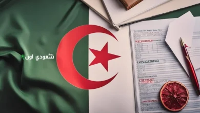 نتائج بكالوريا الجزائر 2025 رابط مباشر للاستعلام برقم التسجيل وكشف النقاط المفصل