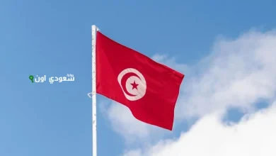 موعد العطل الرسمية 2025 في المغرب وزارة التعليم المغربية وأهمية التخطيط للعام الدراسي الجديد