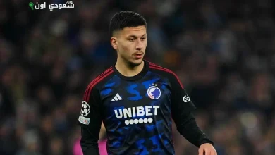 روني باردجي