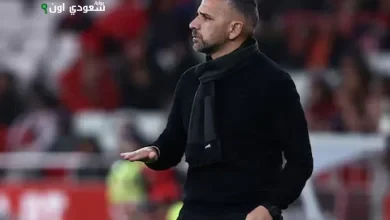 روي بورجيس