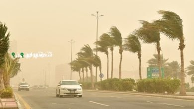 رياح قوية وأتربة مثارة تسود أجواء نجران اليوم